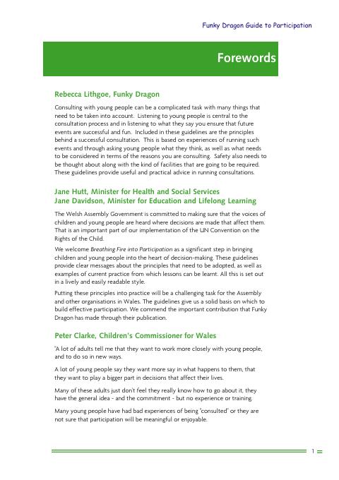 Cover of Breathing Fire into Participation: Funky Dragon Guide to Participation