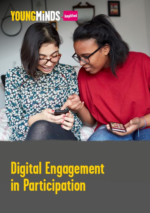 Cover of Digital Engagement in Participation
