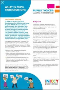 Cover of Pupils' Voices Guidance Pack